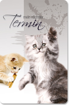 Terminkarte "Schmusekätzchen" Terminkarte "Schmusekätzchen"